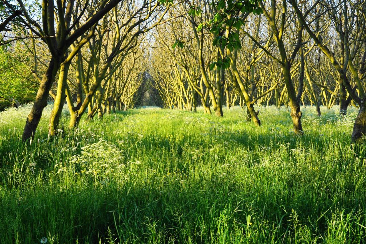 Le Chemin * Challignac