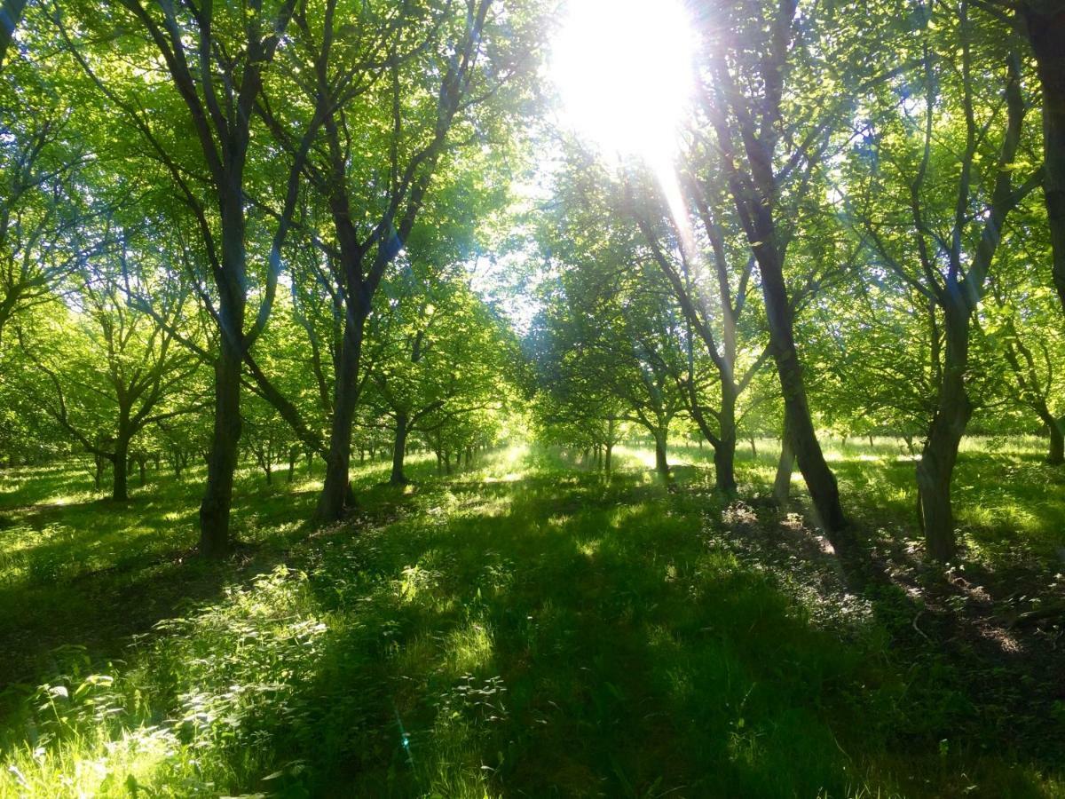Frühstückspension Le Chemin Challignac